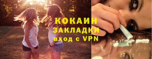 винт Нея