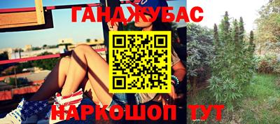 трава Бийск