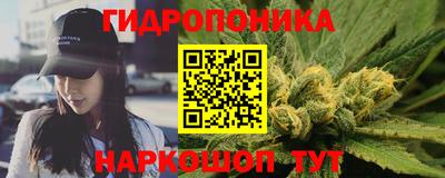 ПСИЛОЦИБИНОВЫЕ ГРИБЫ Кандалакша