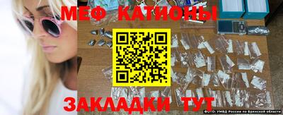 трава Бийск