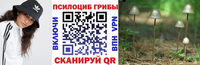 Галлюциногенные грибы ЛСД  Усть-Лабинск 