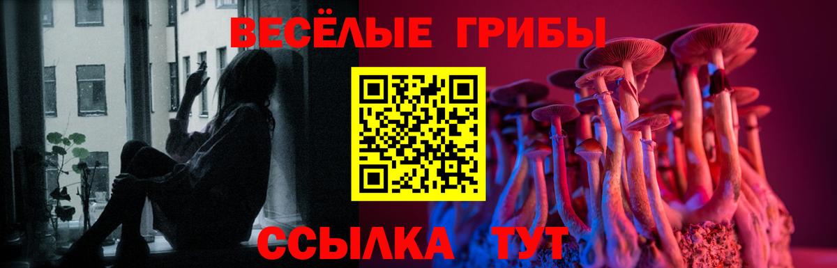 Галлюциногенные грибы Cubensis  Псилоцибиновые грибы MAGIC MUSHROOMS  Вход с VPN  Усть-Лабинск 