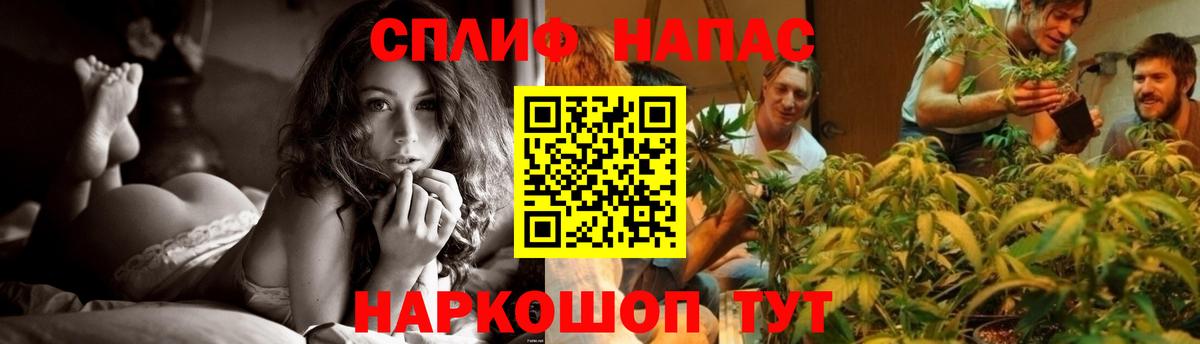 Конопля план Усть-Лабинск